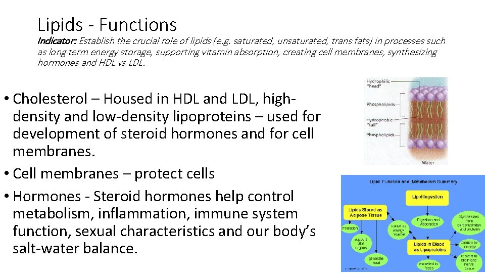Lipids - Functions Indicator: Establish the crucial role of lipids (e. g. saturated, unsaturated,