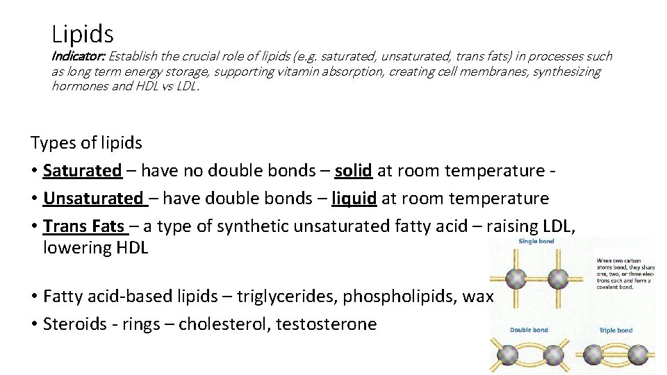 Lipids Indicator: Establish the crucial role of lipids (e. g. saturated, unsaturated, trans fats)