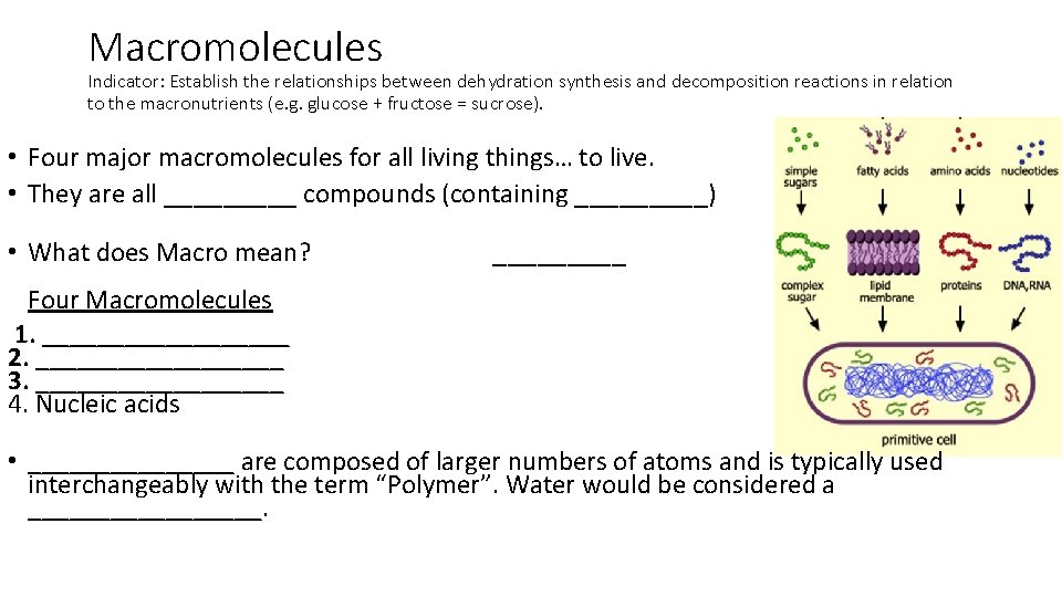 Macromolecules Indicator: Establish the relationships between dehydration synthesis and decomposition reactions in relation to