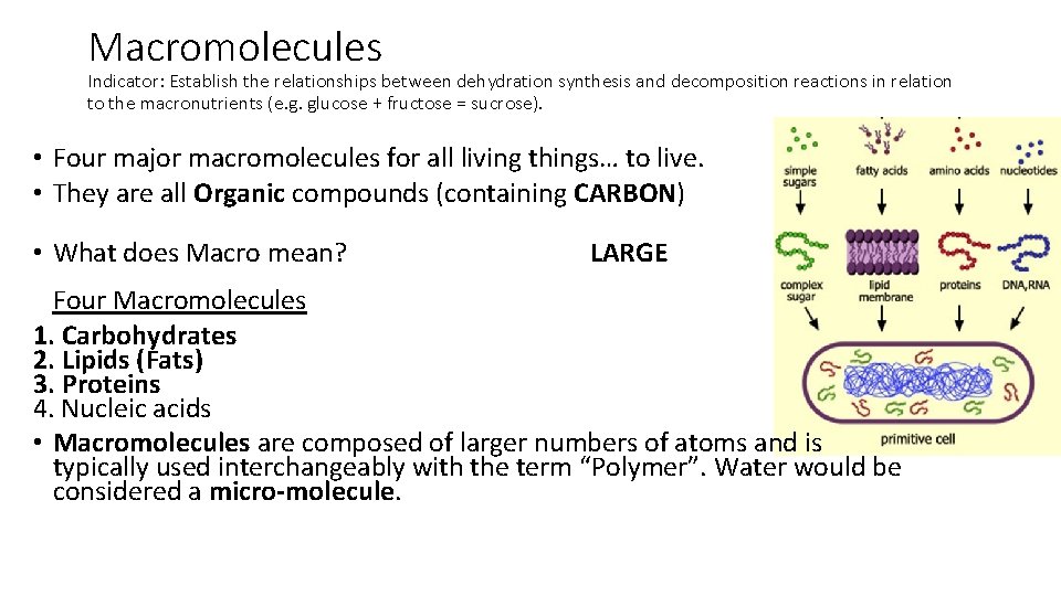 Macromolecules Indicator: Establish the relationships between dehydration synthesis and decomposition reactions in relation to