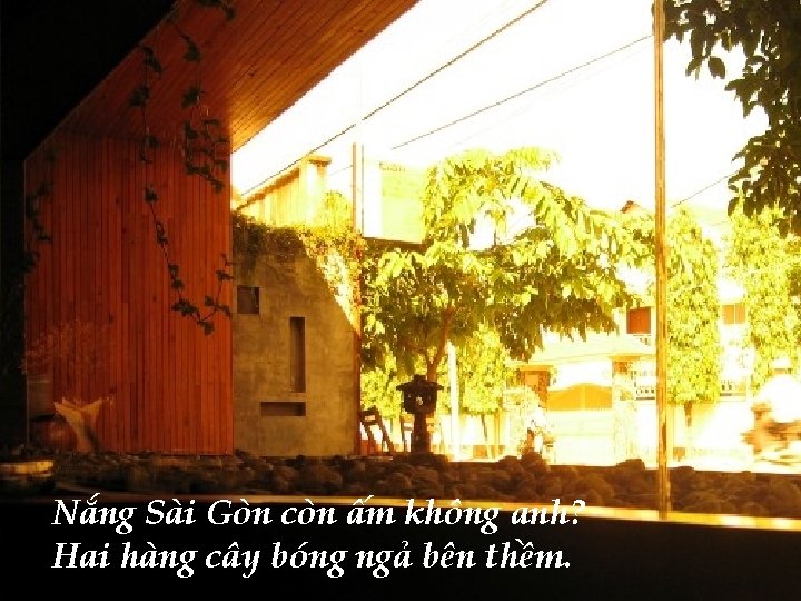 Nắng Sài Gòn còn ấm không anh? Hai hàng cây bóng ngả bên thềm.