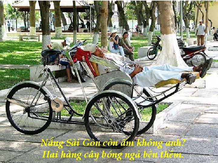 Nắng Sài Gòn còn ấm không anh? Hai hàng cây bóng ngả bên thềm.