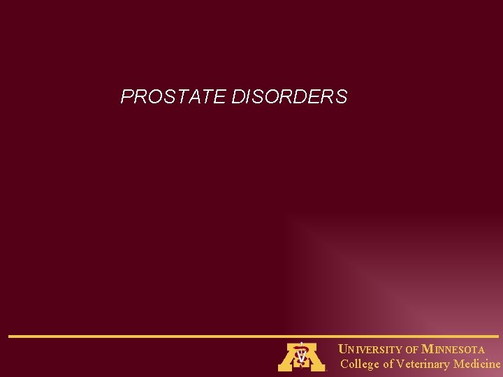 PROSTATE DISORDERS UNIVERSITY OF MINNESOTA College of Veterinary Medicine 