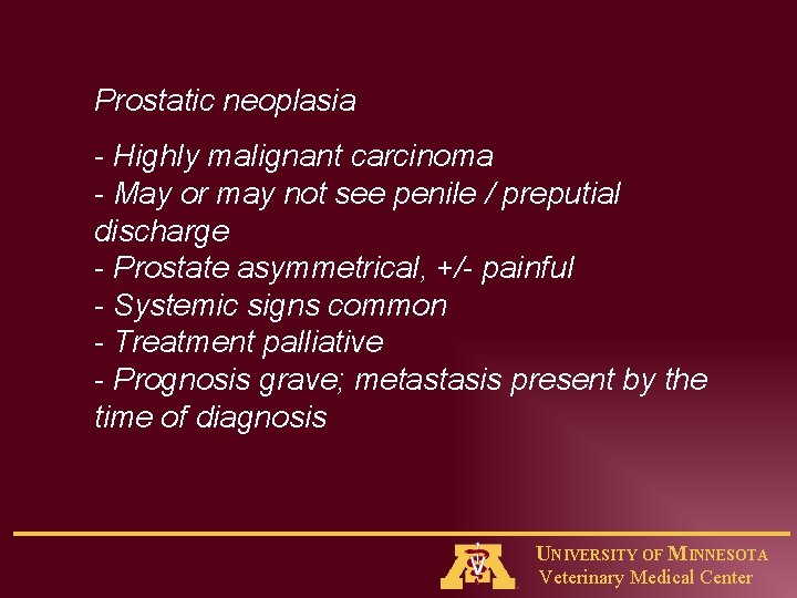 Prostatic neoplasia - Highly malignant carcinoma - May or may not see penile /
