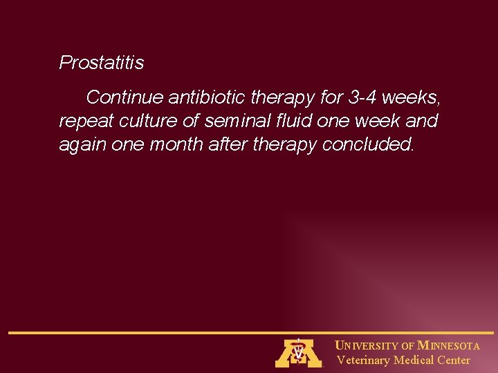 Prostatitis Continue antibiotic therapy for 3 -4 weeks, repeat culture of seminal fluid one