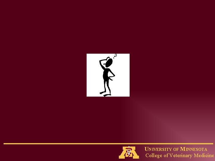 UNIVERSITY OF MINNESOTA College of Veterinary Medicine 