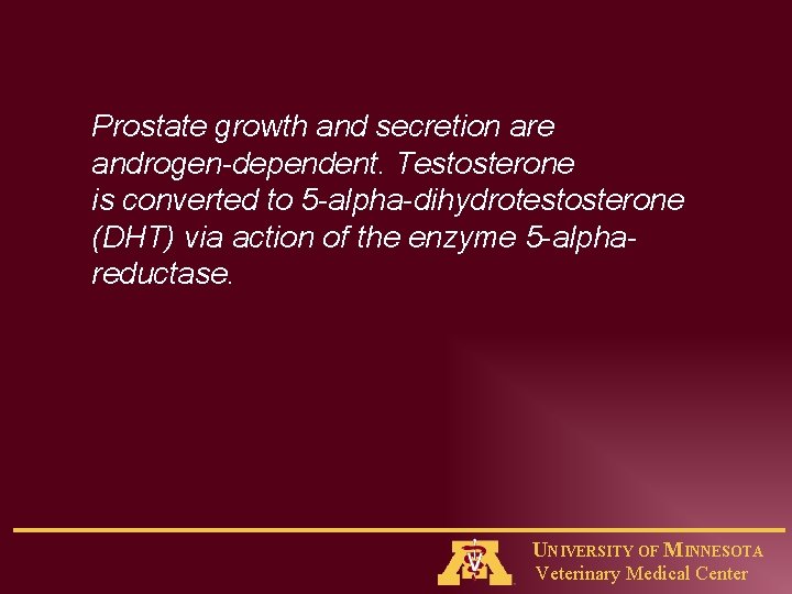 Prostate growth and secretion are androgen-dependent. Testosterone is converted to 5 -alpha-dihydrotestosterone (DHT) via