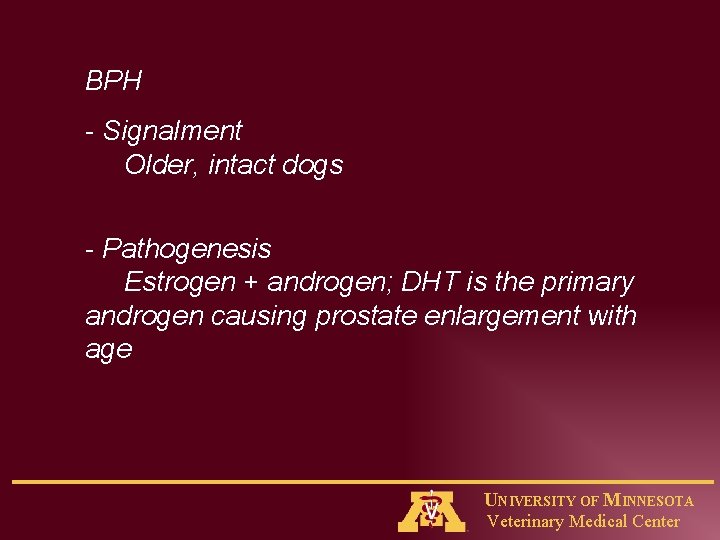 BPH - Signalment Older, intact dogs - Pathogenesis Estrogen + androgen; DHT is the