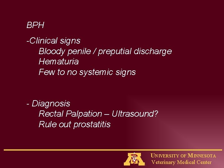 BPH -Clinical signs Bloody penile / preputial discharge Hematuria Few to no systemic signs