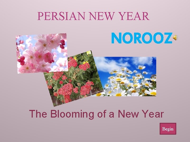 PERSIAN NEW YEAR NOROOZ The Blooming of a New Year Begin 