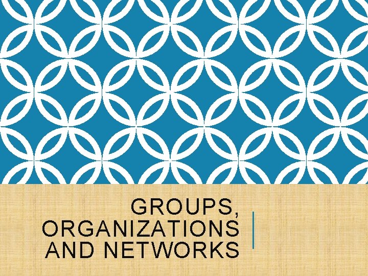 GROUPS, ORGANIZATIONS AND NETWORKS 