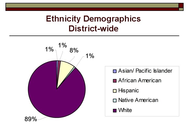 Ethnicity Demographics District-wide 
