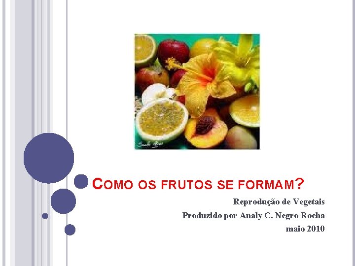 COMO OS FRUTOS SE FORMAM? Reprodução de Vegetais Produzido por Analy C. Negro Rocha