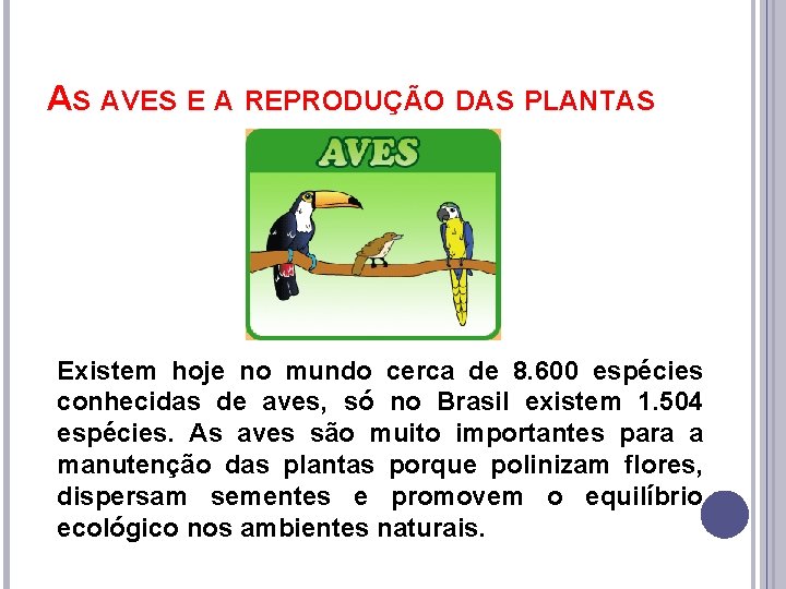 AS AVES E A REPRODUÇÃO DAS PLANTAS Existem hoje no mundo cerca de 8.