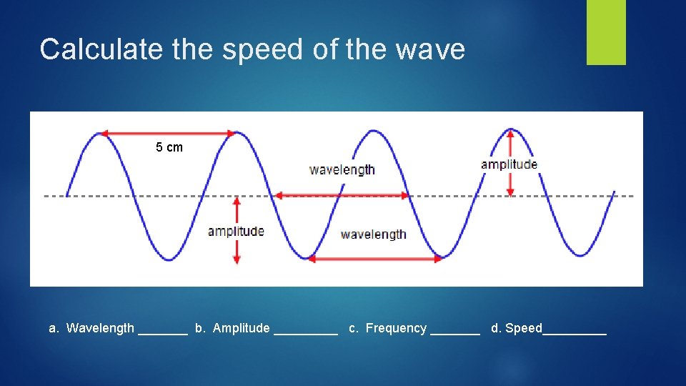 Calculate the speed of the wave 5 cm a. Wavelength _______ b. Amplitude _____