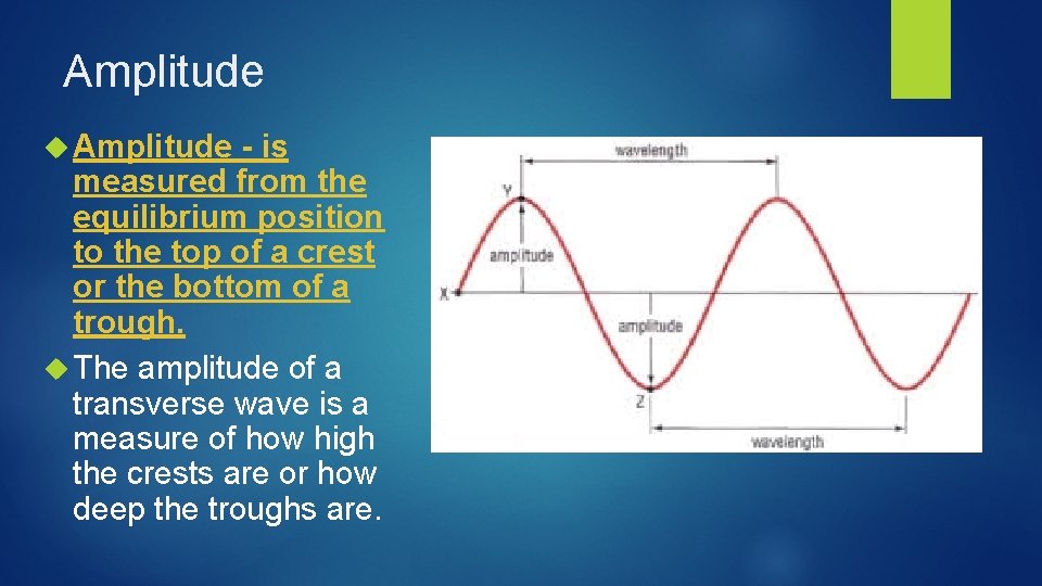 Amplitude - is measured from the equilibrium position to the top of a crest