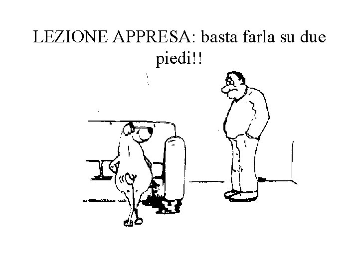 LEZIONE APPRESA: basta farla su due piedi!! 