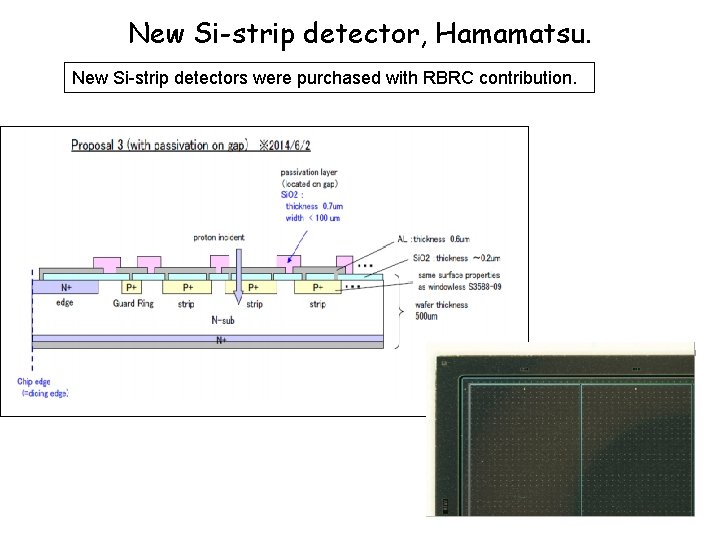 New Si-strip detector, Hamamatsu. New Si-strip detectors were purchased with RBRC contribution. 