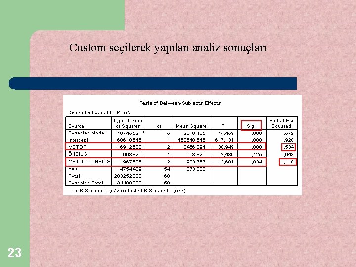 Custom seçilerek yapılan analiz sonuçları 23 