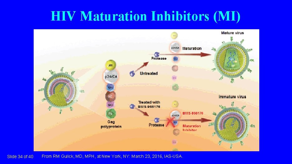 HIV Maturation Inhibitors (MI) Slide 34 of 40 From RM Gulick, MD, MPH, at