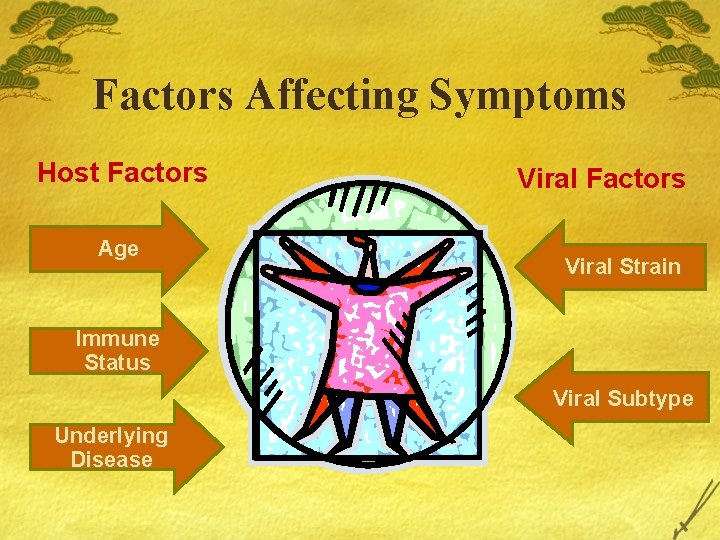 Factors Affecting Symptoms Host Factors Age Viral Factors Viral Strain Immune Status Viral Subtype