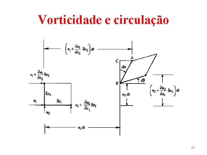 Vorticidade e circulação 37 