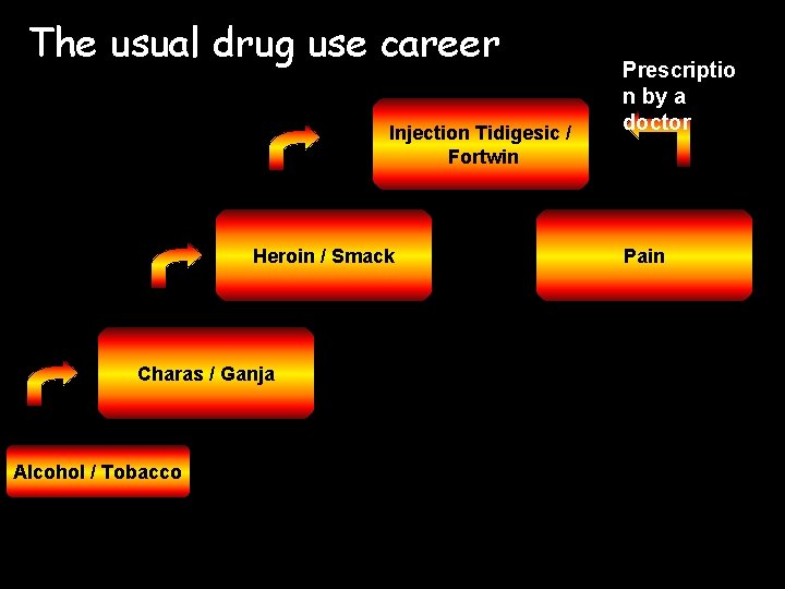 The usual drug use career Injection Tidigesic / Fortwin Heroin / Smack Charas /