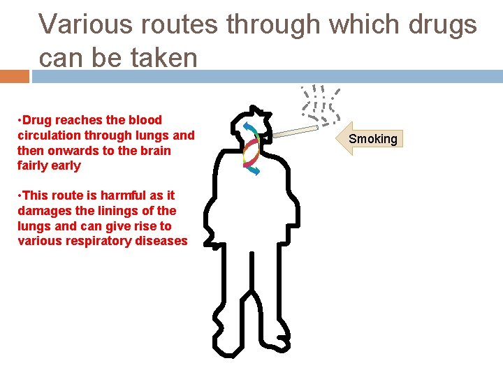 Various routes through which drugs can be taken • Drug reaches the blood circulation