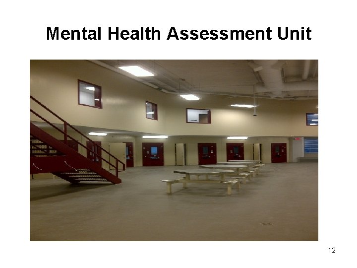 Mental Health Assessment Unit 12 