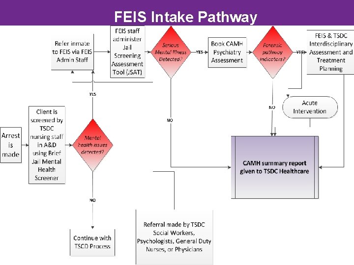 FEIS Intake Pathway 