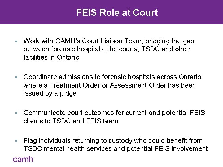 FEIS Role at Court § Work with CAMH’s Court Liaison Team, bridging the gap