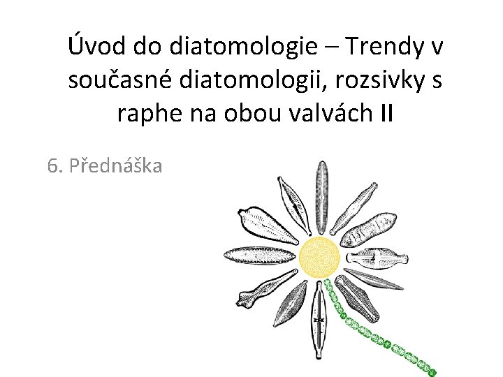 Úvod do diatomologie – Trendy v současné diatomologii, rozsivky s raphe na obou valvách