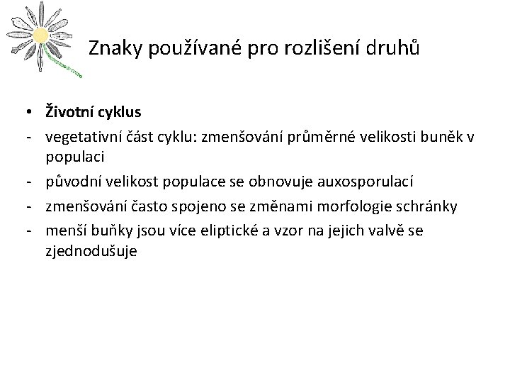 Znaky používané pro rozlišení druhů • Životní cyklus - vegetativní část cyklu: zmenšování průměrné