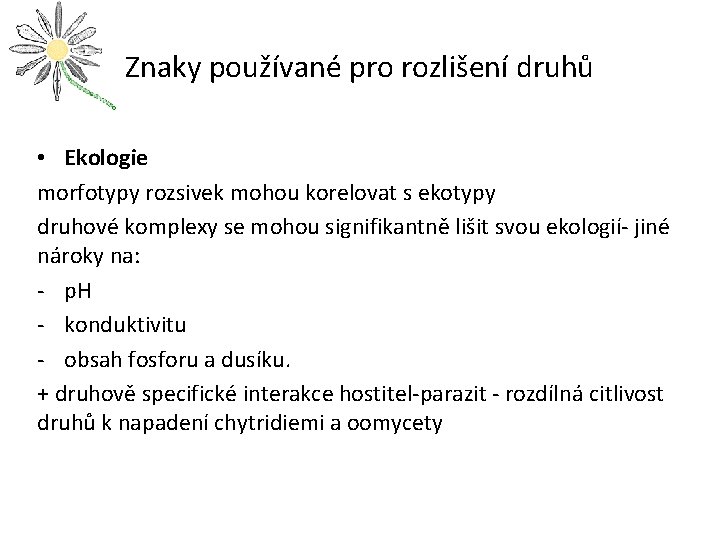 Znaky používané pro rozlišení druhů • Ekologie morfotypy rozsivek mohou korelovat s ekotypy druhové