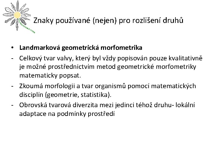 Znaky používané (nejen) pro rozlišení druhů • Landmarková geometrická morfometrika - Celkový tvar valvy,