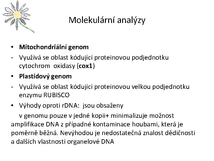 Molekulární analýzy • Mitochondriální genom - Využívá se oblast kódující proteinovou podjednotku cytochrom oxidasy