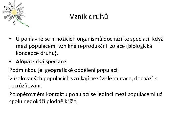 Vznik druhů • U pohlavně se množících organismů dochází ke speciaci, když mezi populacemi