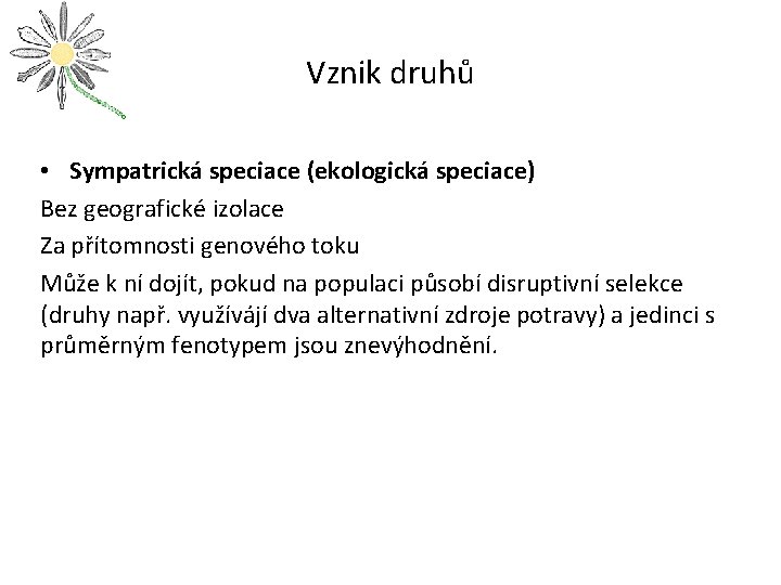 Vznik druhů • Sympatrická speciace (ekologická speciace) Bez geografické izolace Za přítomnosti genového toku