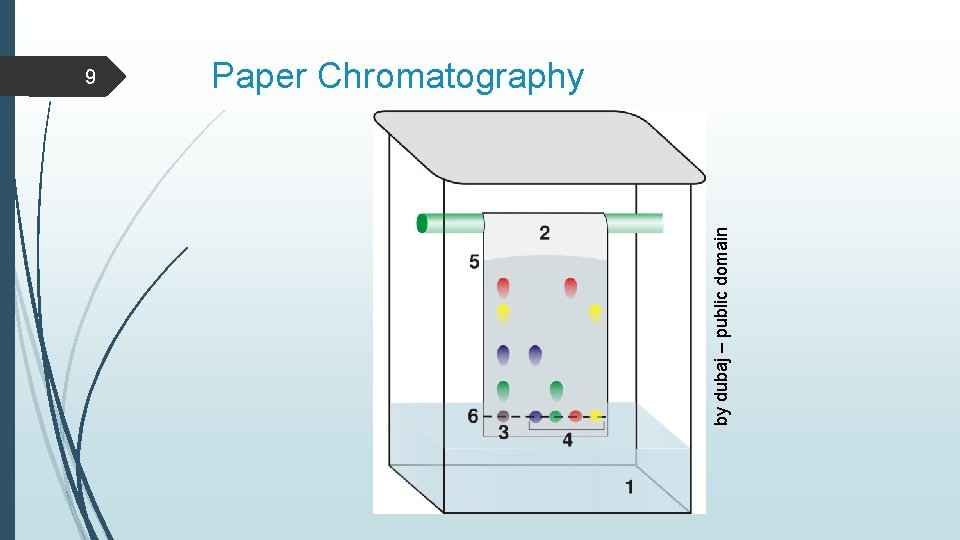 by dubaj – public domain 9 Paper Chromatography 