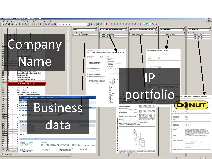 Company Name Business data IP portfolio 