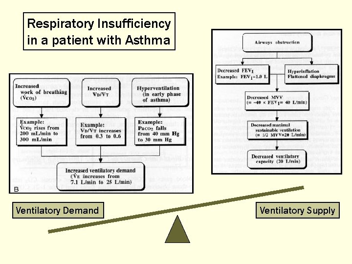 Respiratory Insufficiency in a patient with Asthma Ventilatory Demand Ventilatory Supply 