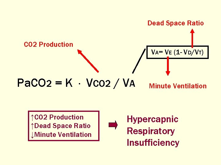 Dead Space Ratio CO 2 Production VA= VE (1 - VD/VT) Pa. CO 2