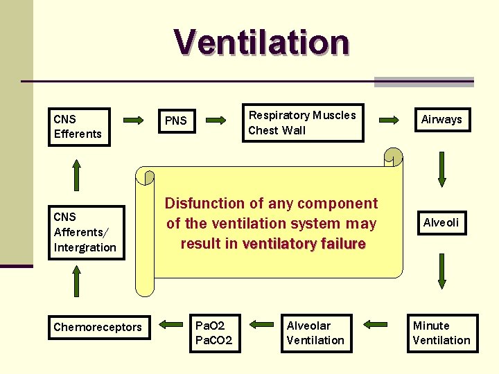 Ventilation CNS Efferents CNS Afferents/ Intergration Chemoreceptors Respiratory Muscles Chest Wall PNS Disfunction of