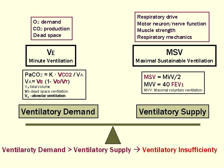 O 2 demand CO 2 production Dead space Respiratory drive Motor neuron/nerve function Muscle