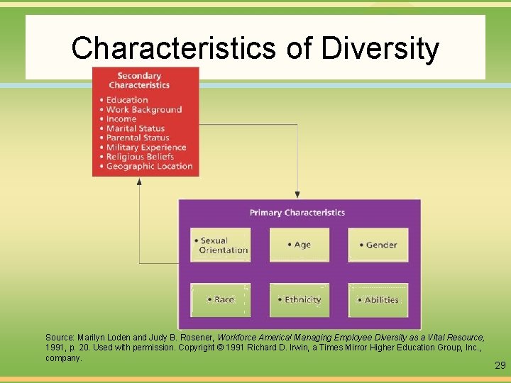 Characteristics of Diversity Source: Marilyn Loden and Judy B. Rosener, Workforce America! Managing Employee