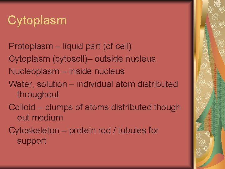 Cytoplasm Protoplasm – liquid part (of cell) Cytoplasm (cytosoll)– outside nucleus Nucleoplasm – inside