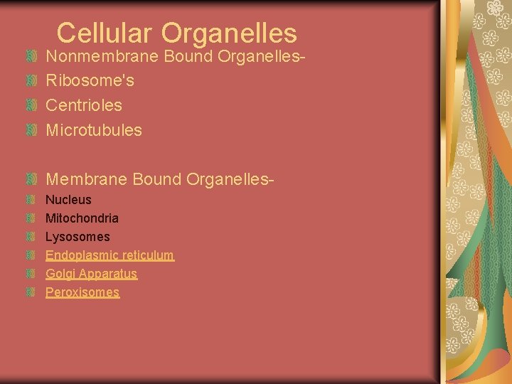 Cellular Organelles Nonmembrane Bound Organelles. Ribosome's Centrioles Microtubules Membrane Bound Organelles. Nucleus Mitochondria Lysosomes