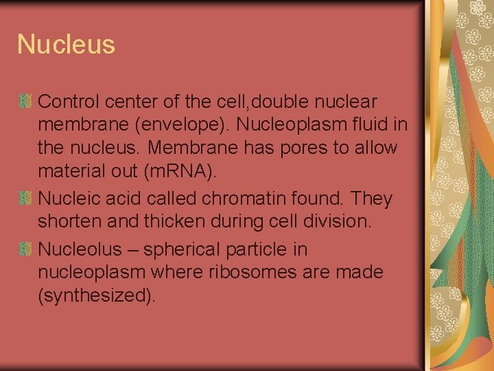 Nucleus Control center of the cell, double nuclear membrane (envelope). Nucleoplasm fluid in the