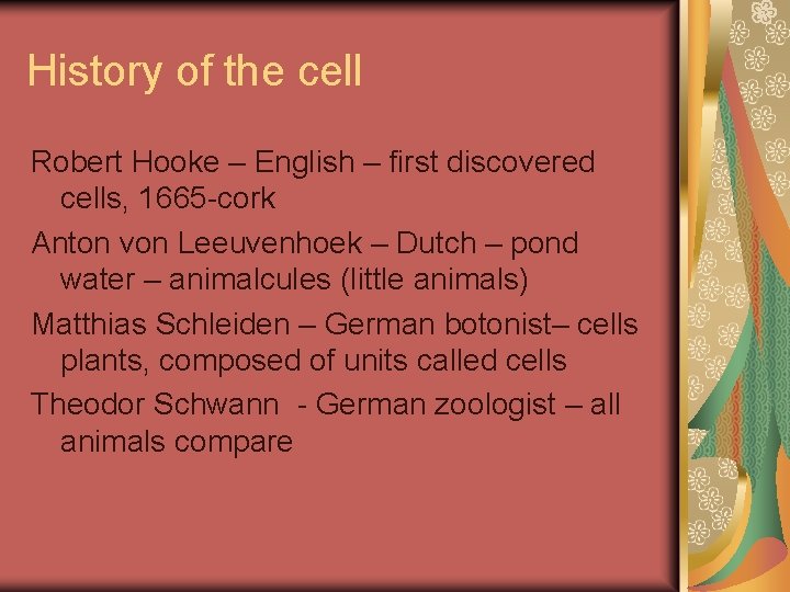 History of the cell Robert Hooke – English – first discovered cells, 1665 -cork