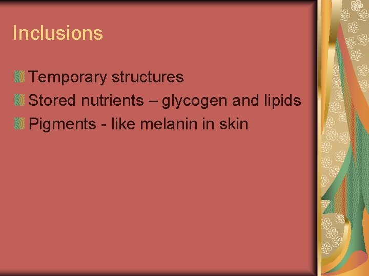 Inclusions Temporary structures Stored nutrients – glycogen and lipids Pigments - like melanin in